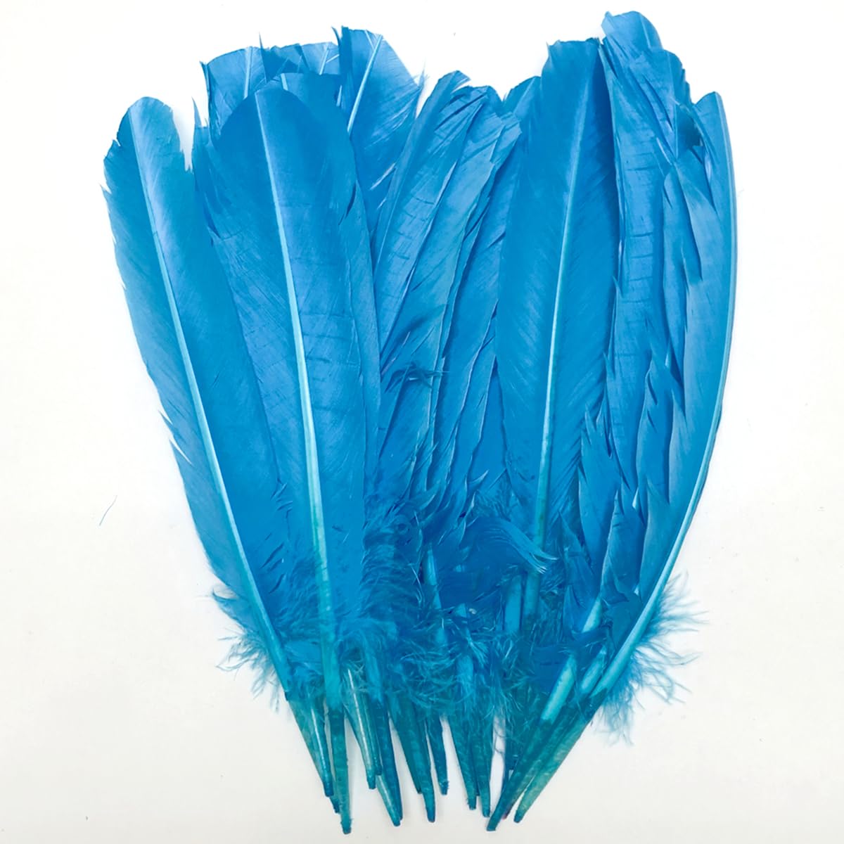 Amazon.com: 24Pcs Lake Blue Turkey Feathers 10~12 inch,Bulk Long